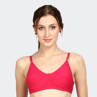 
              PRITHIVI PRENCY BRA
            